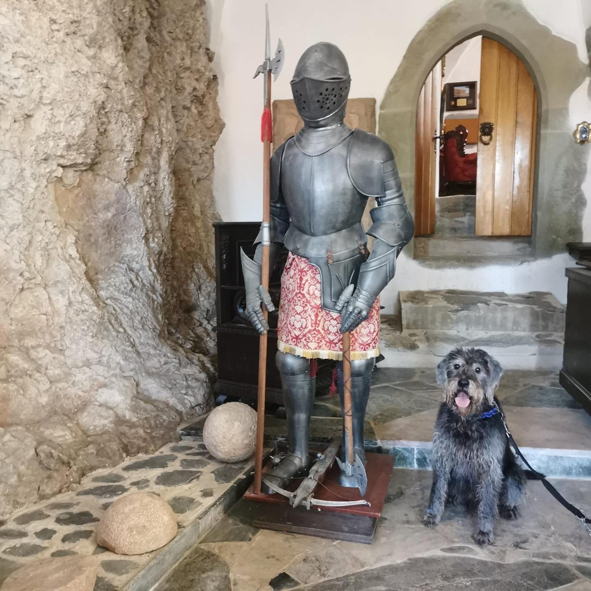 Burg Hermannstein - Monks Room เวทซ์ลาร์ ภายนอก รูปภาพ